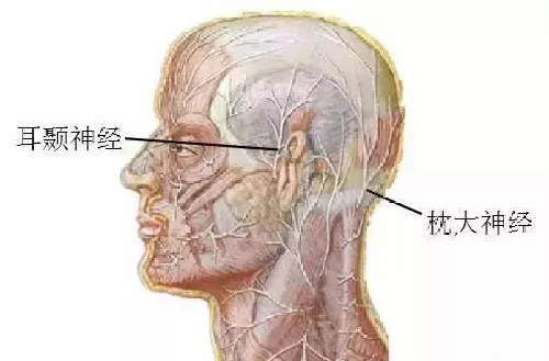 微信图片_20190827154145.jpg