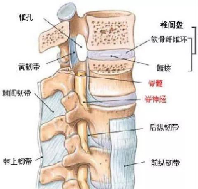 微信图片_20190827155527.jpg