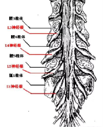 微信图片_20190827155533.jpg