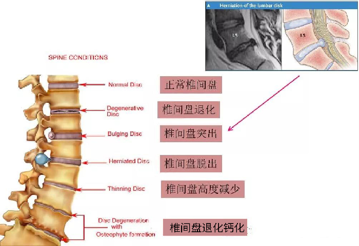 微信图片_20190827155530.jpg
