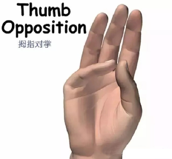 20190921_112556_124.jpg