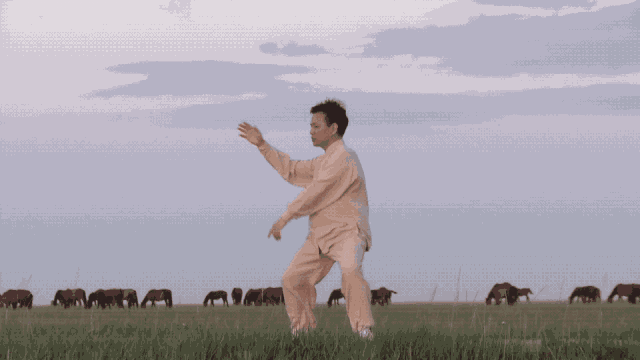 微信图片_20190923162353.gif
