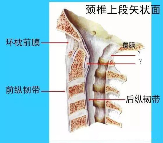 微信图片_20190927111036.jpg
