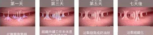 微信图片_20190927165122.jpg