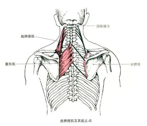 微信图片_20191009160156.jpg