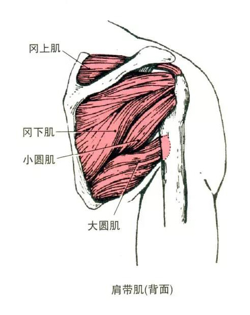 微信图片_20191009160359.jpg