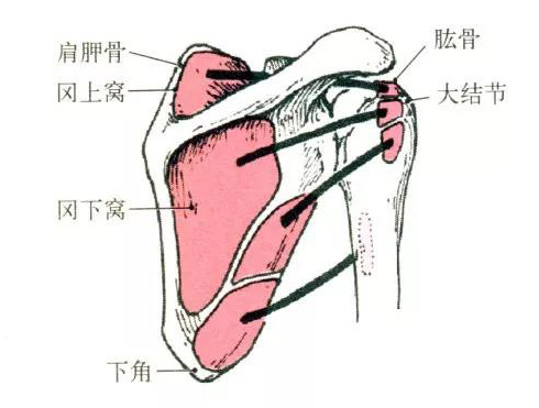微信图片_20191009160402.jpg