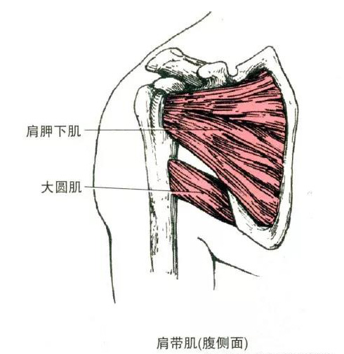 微信图片_20191009160502.jpg