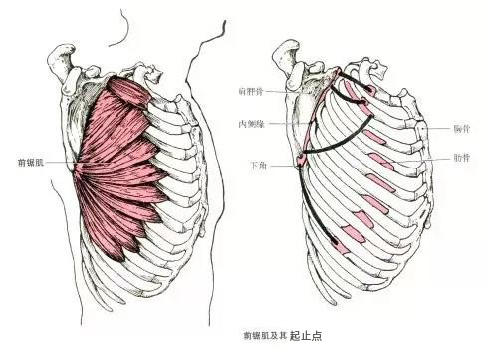 微信图片_20191009160636.jpg