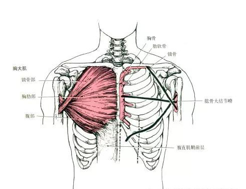微信图片_20191009160639.jpg