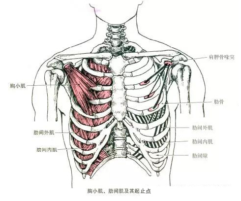 微信图片_20191009160652.jpg
