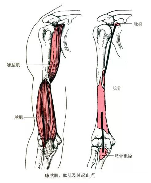 微信图片_20191009160913.jpg