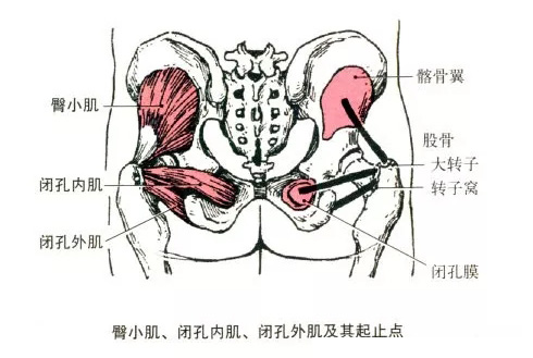 20191009_155509_033.jpg