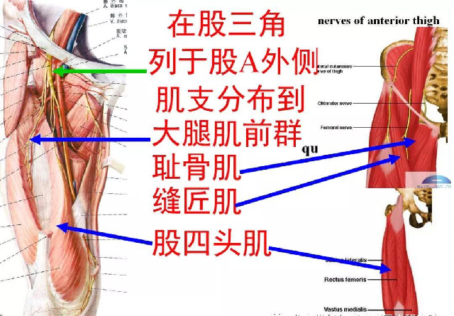 微信图片_20191108104319.jpg
