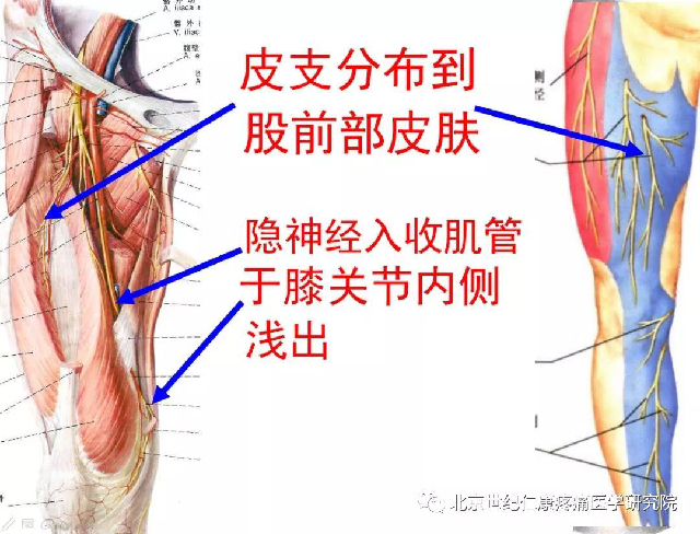 微信图片_20191108104324.jpg