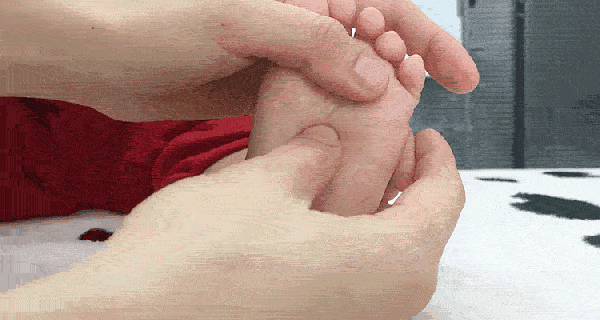 4.gif