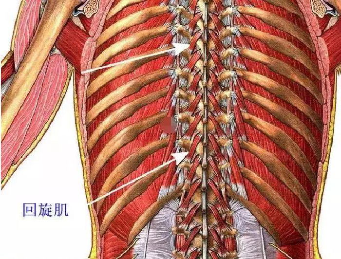 微信图片_20191129142615.jpg