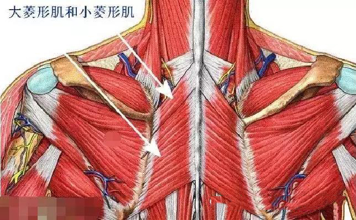微信图片_20191129142642.jpg