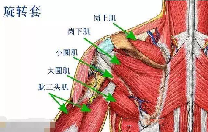 微信图片_20191129142656.jpg
