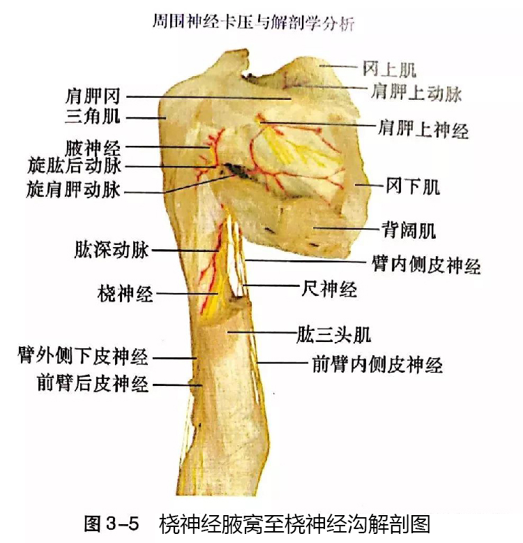 微信图片_20191129162557.jpg
