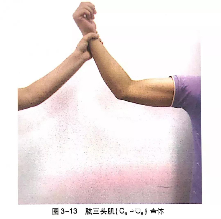 微信图片_20191129162631.jpg