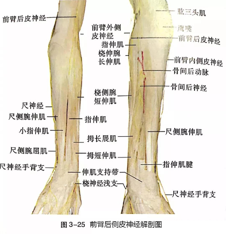 微信图片_20191129162705.jpg