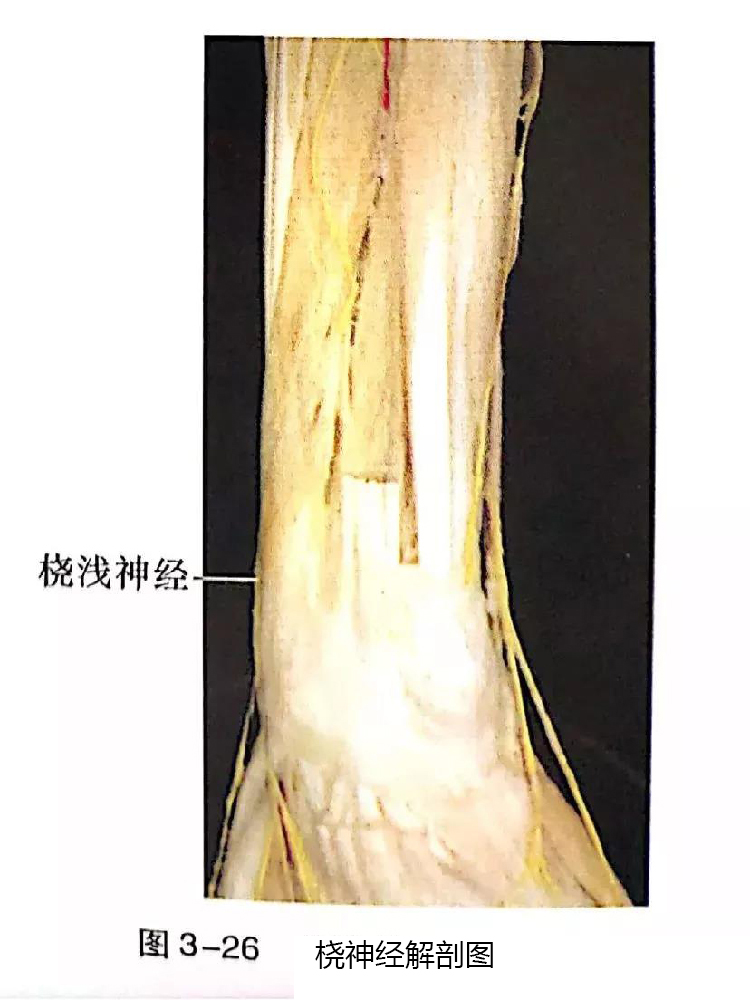 微信图片_20191129162709.jpg
