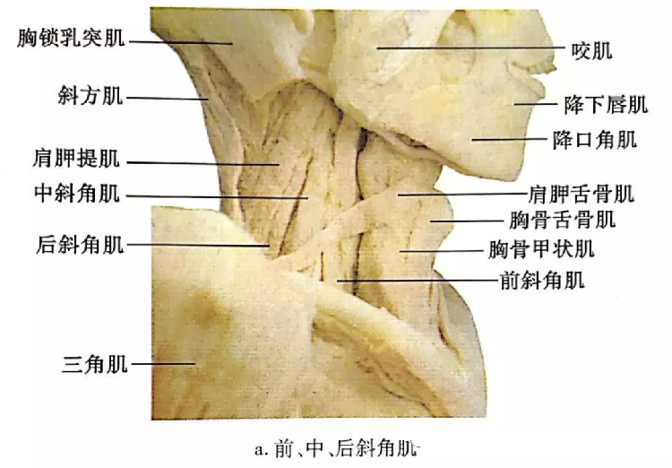 微信图片_20191129162712.jpg