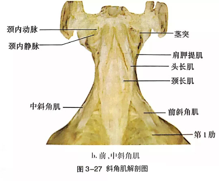 微信图片_20191129162713.jpg