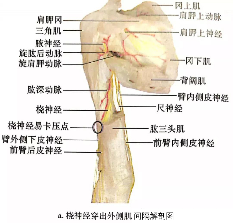 微信图片_20191129162738.jpg