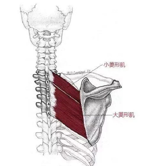 微信图片_20191130152811.jpg