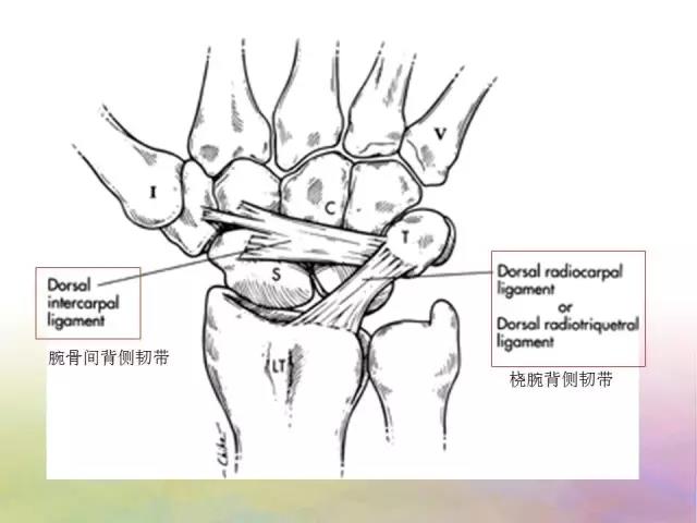 微信图片_20191202155734.jpg