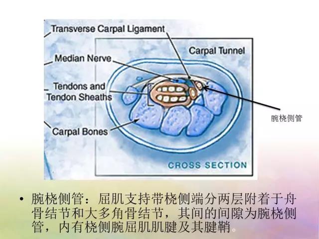 微信图片_20191202155736.jpg