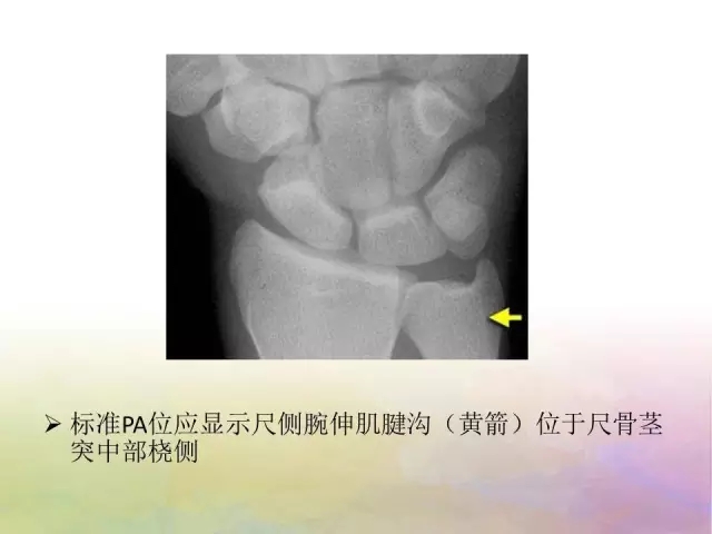 20191202_155554_008.jpg