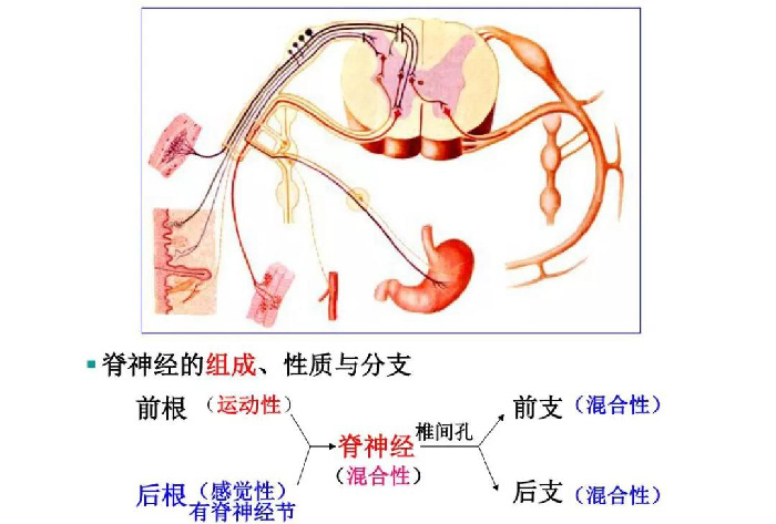 微信图片_20191209162332.jpg