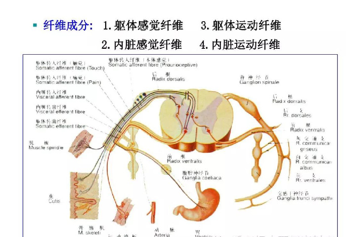 微信图片_20191209162335.jpg