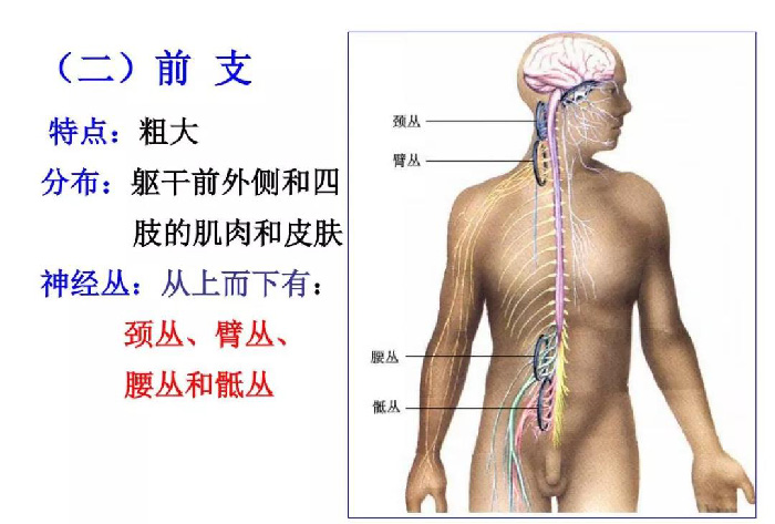 微信图片_20191209162339.jpg