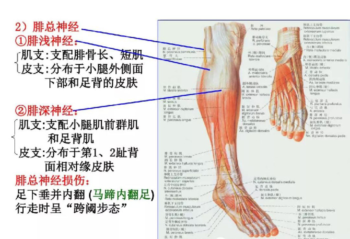 微信图片_20191209162446.jpg