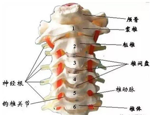 微信图片_20191218142544.jpg