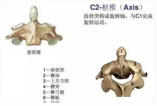 微信图片_20191218142557.jpg