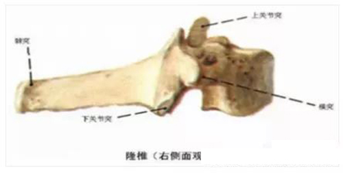 微信图片_20191218142602.jpg