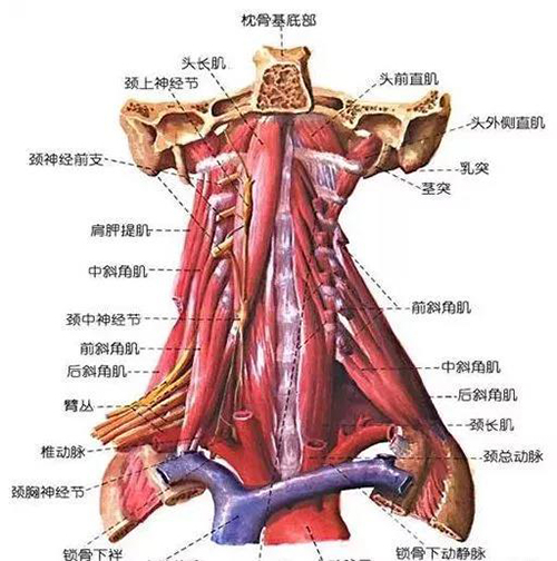 微信图片_20191218142610.jpg