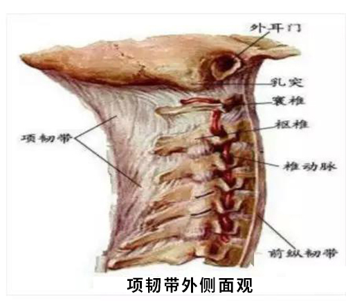 微信图片_20191218142614.jpg