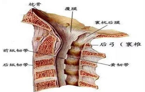 微信图片_20191218142616.jpg