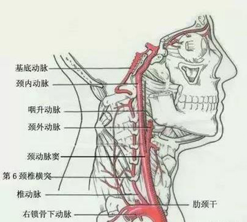 微信图片_20191218142626.jpg