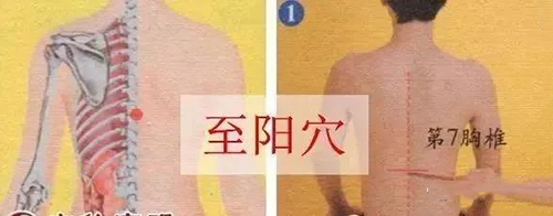 微信图片_20200103152505.jpg