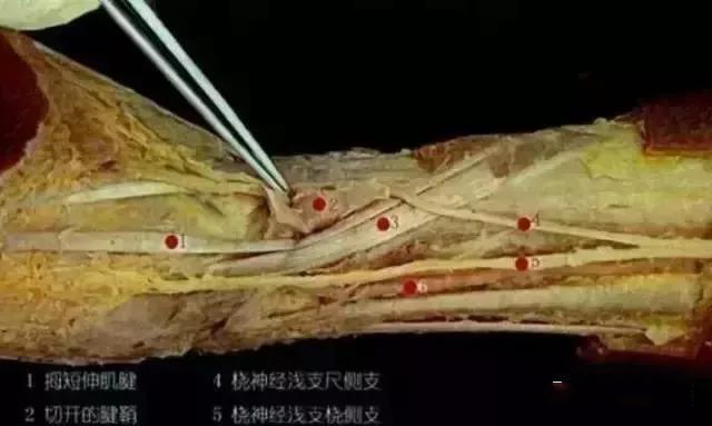 微信图片_20200103154402.jpg