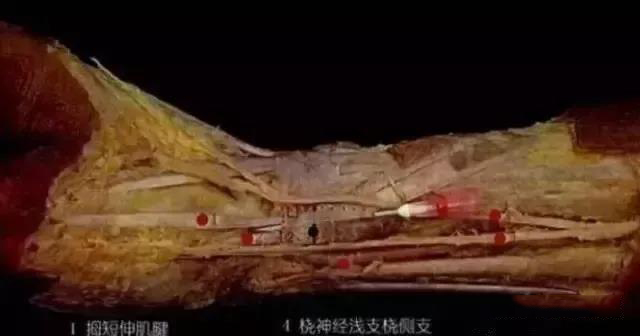 微信图片_20200103154403.jpg