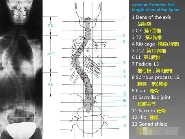 微信图片_20200103155746.jpg