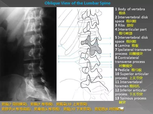 微信图片_20200103155811.jpg
